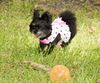 Juliet--Darling loving sweetie--S