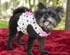 Juliet--Darling loving sweetie--S