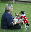 Bonnie--sweet little doxie girl--S-Video