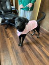 Hannah! - Photo 4