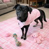 Hannah! - Photo 2