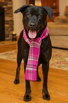 Labs, Labs - Photo 2