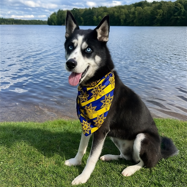 Husky, Husky