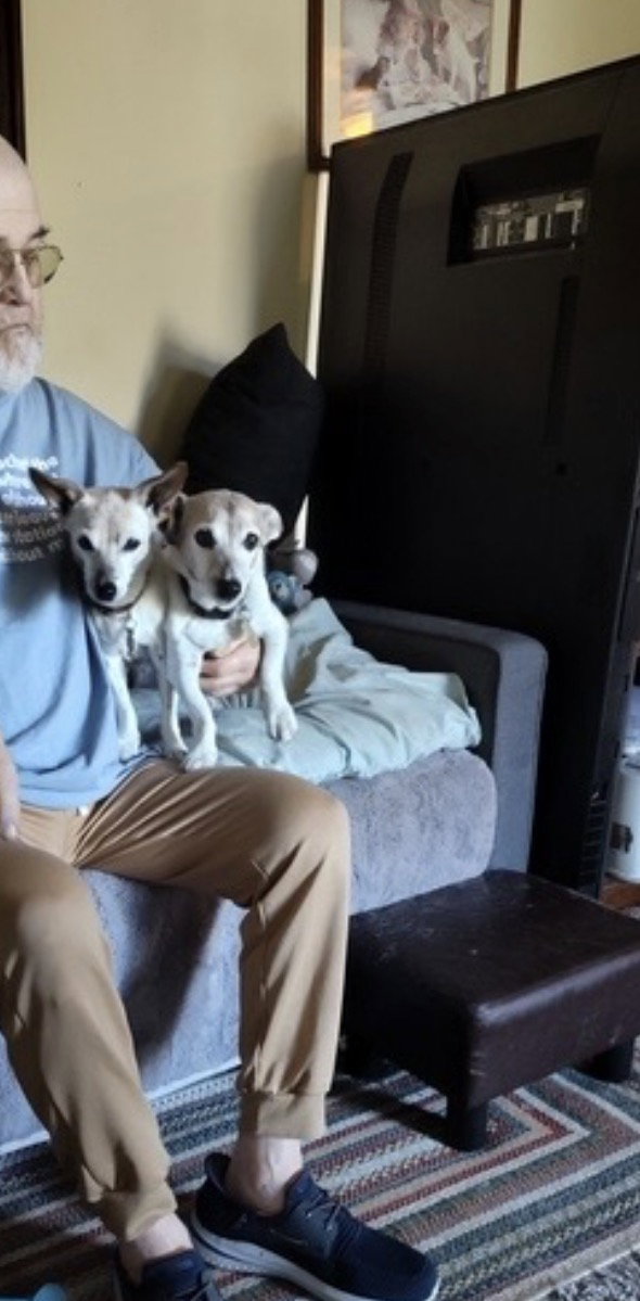 Jack Russells