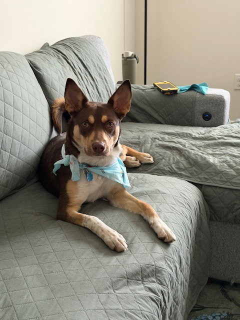 Addie Image