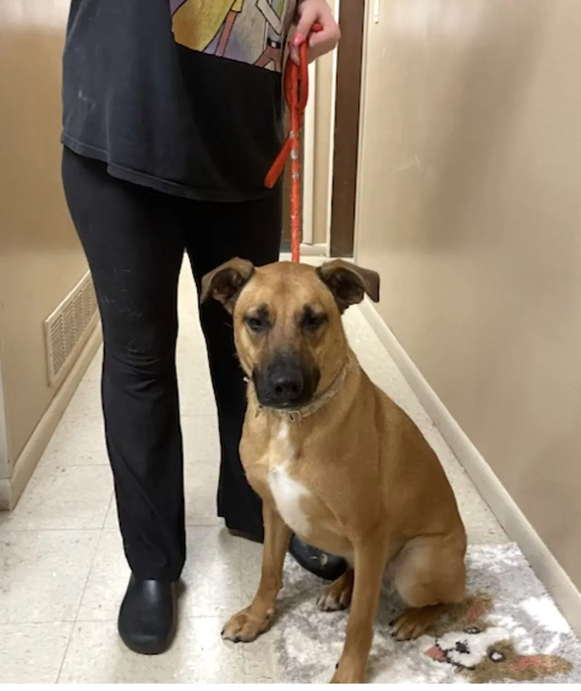 Zadee image 2