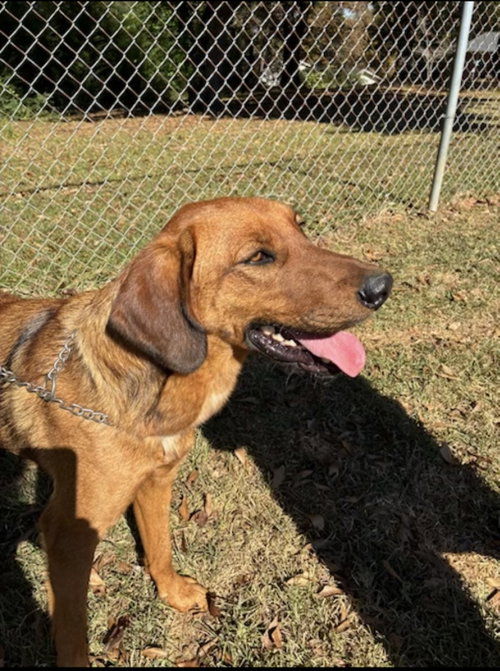 Buddy photo 2