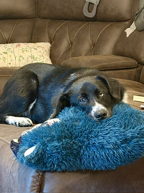 Ellie