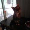 Trixie Mc - Photo 2