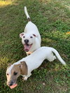 Delbert - Photo 4