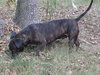 Zeus - Photo 2