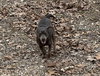 Rolo - Photo 3