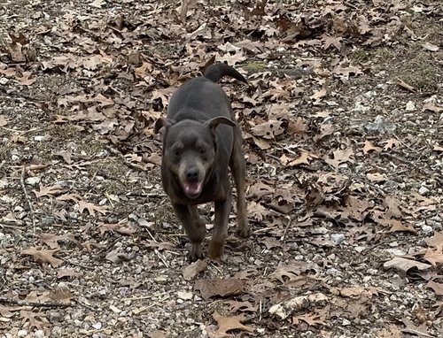 Photo 3 of Rolo