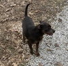 Rolo - Photo 4