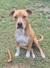 Jack - Photo 3