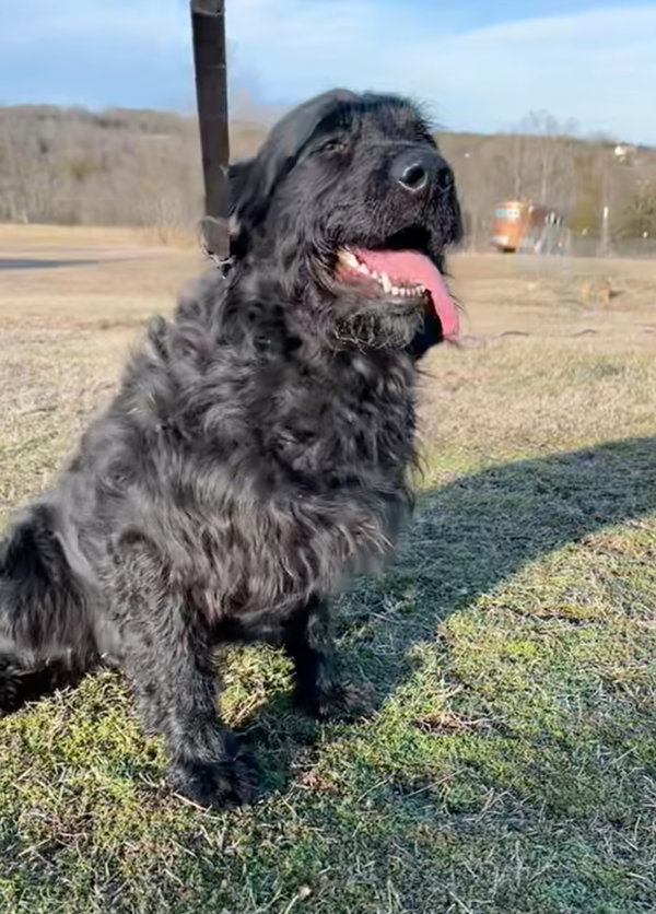 Milo