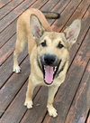 Diego - Photo 2