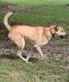Diego - Photo 3