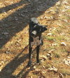Buford - Photo 3