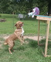 Patch - Photo 2
