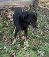 Max - Photo 3