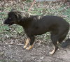 Max - Photo 4