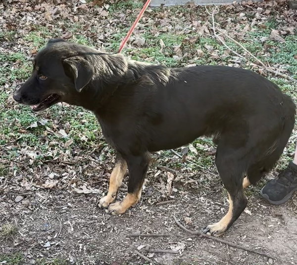 Max