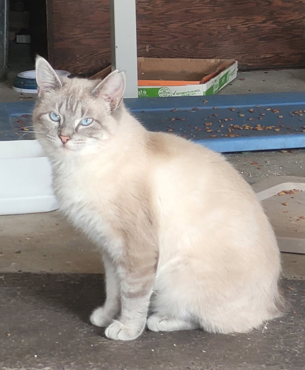 Ooma Image