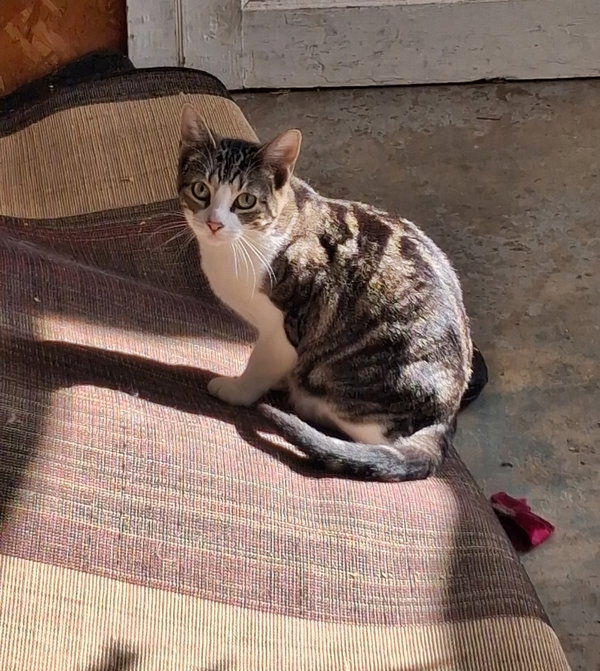 Zoe