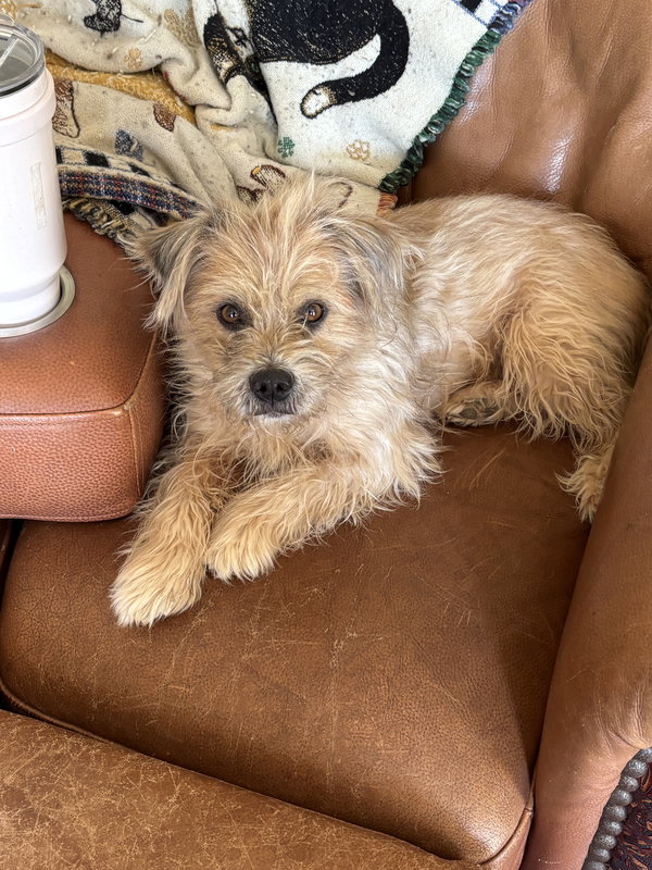 Rufus E