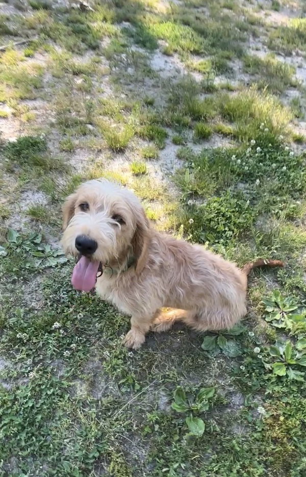 Honey E