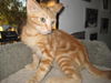 Sonny