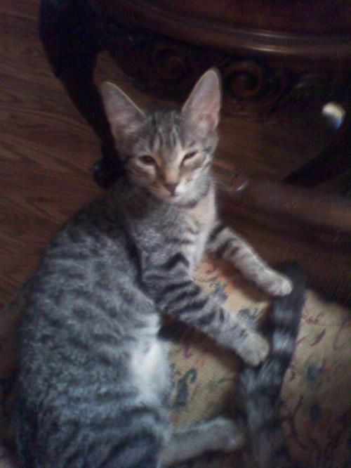 Starsky