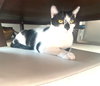COURTESY POST: Bubbles - Photo 2