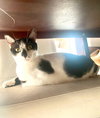 COURTESY POST: Bubbles - Photo 3