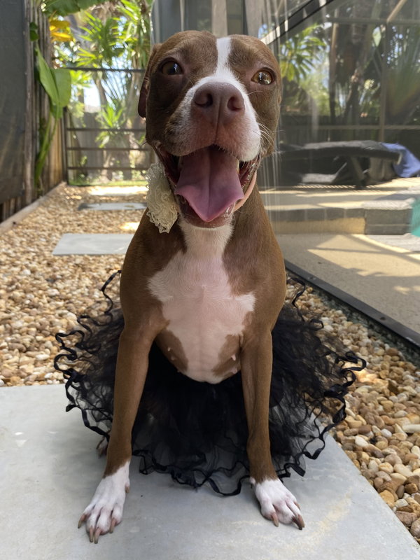 COURTESY POST: Roxy
