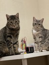 COURTESY POST: Shelby & Marty - Photo 1