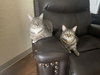 COURTESY POST: Shelby & Marty - Photo 2