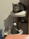 COURTESY POST: Shelby & Marty - Photo 3