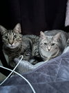 COURTESY POST: Shelby & Marty - Photo 4