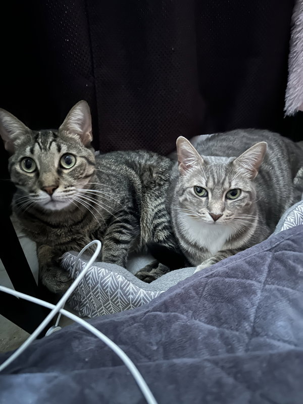 COURTESY POST: Shelby & Marty