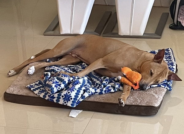 COURTESY POST: Tyson