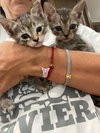 COURTESY POST: Princess & Billy - Photo 1