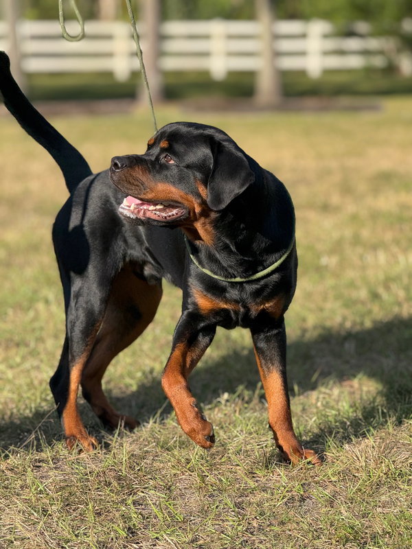 COURTESY POST: Duke