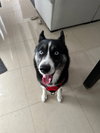 COURTESY POST: Zuko - Photo 2