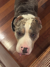 COURTESY POST: Lilly - Photo 4