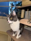 COURTESY POST: Grisy - Photo 1
