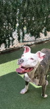 COURTESY POST: Dallas - Photo 3
