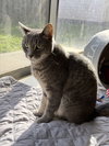 COURTESY POST: Luna and Sophie - Photo 2
