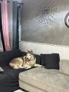 COURTESY POST: Jasper - Photo 3